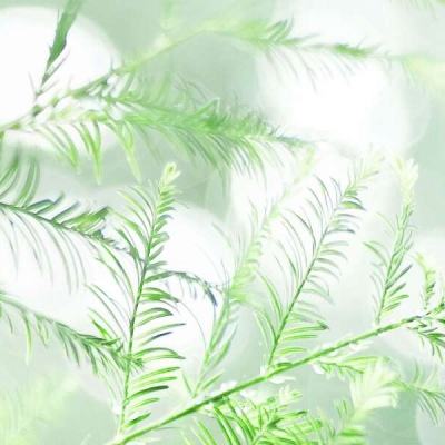 少年封神变态版下载